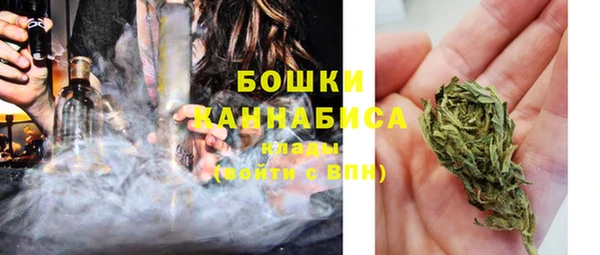 ПСИЛОЦИБИНОВЫЕ ГРИБЫ Абаза