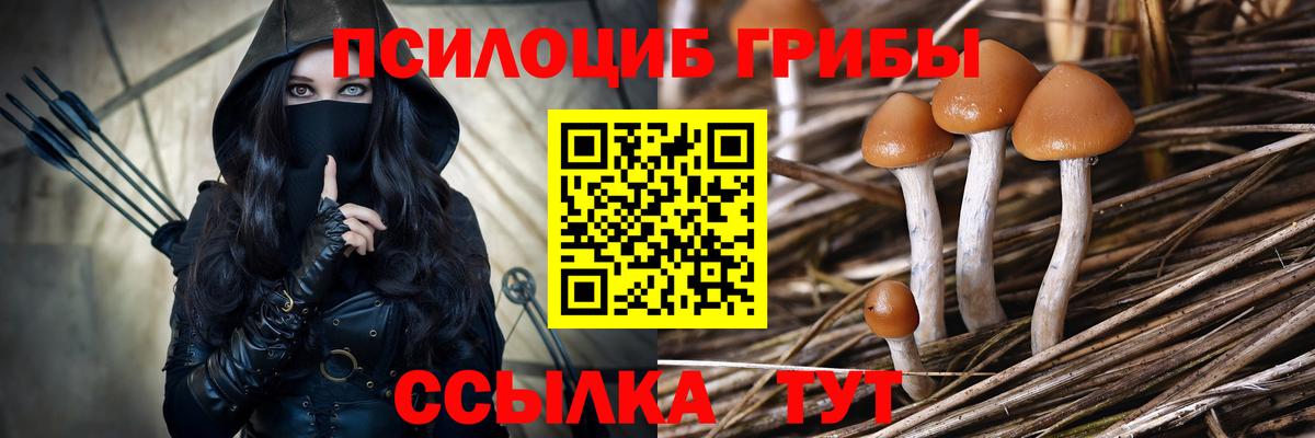 где можно купить наркотик  Вход с VPN  Псилоцибиновые грибы MAGIC MUSHROOMS  Абакан  Псилоцибиновые грибы прущие грибы 